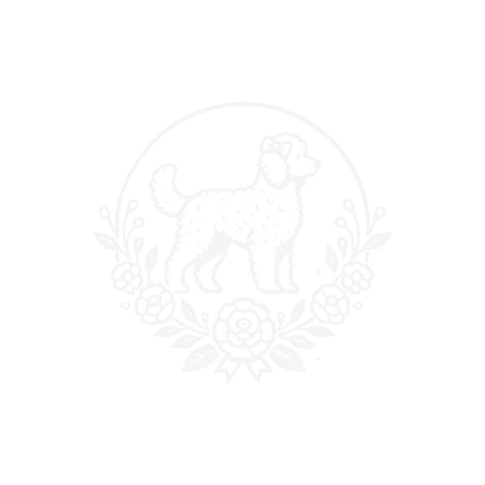 Logo petit cadotwit.png