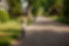 family riding bikes on residential street