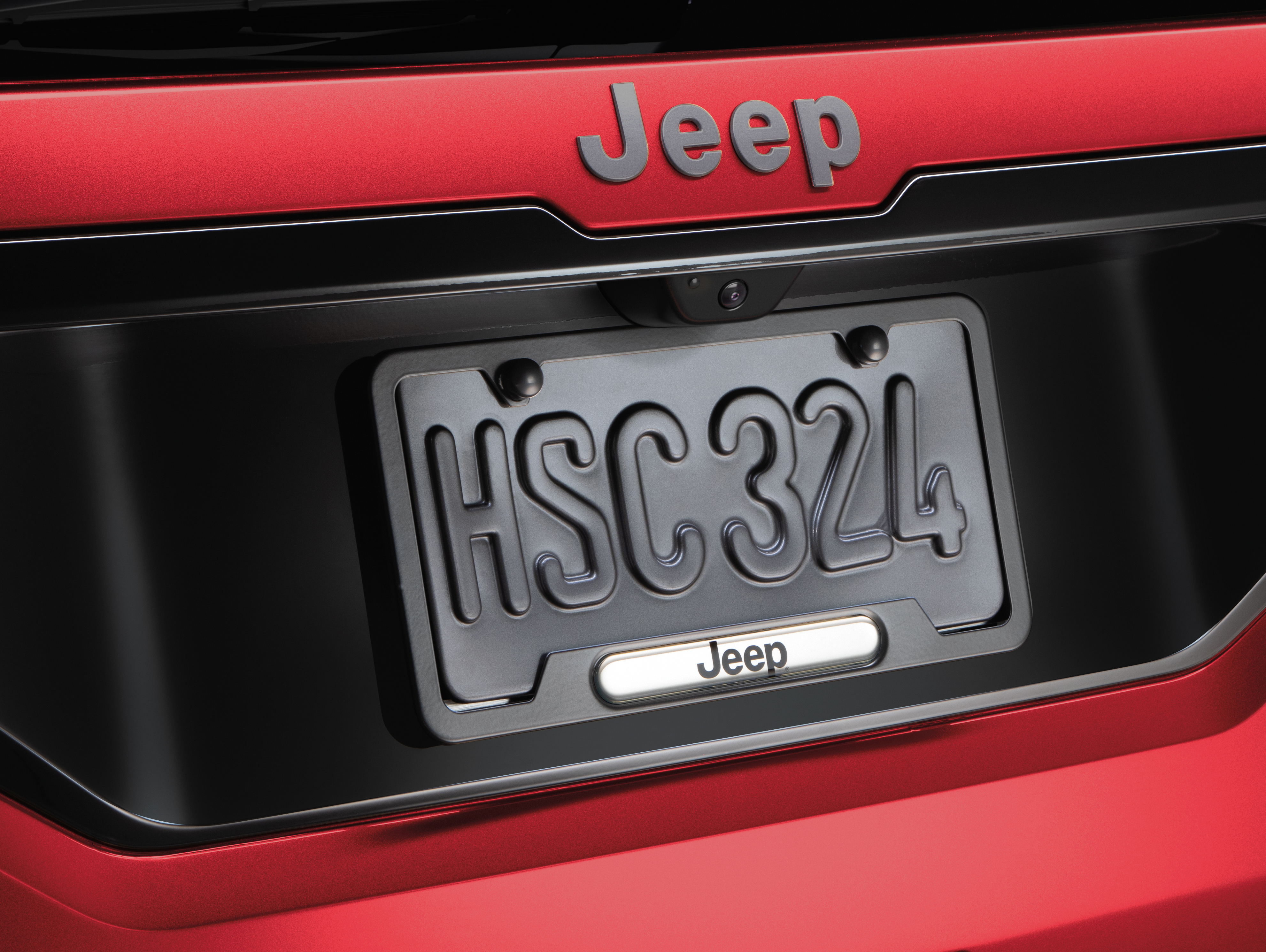 License Plate with Logo