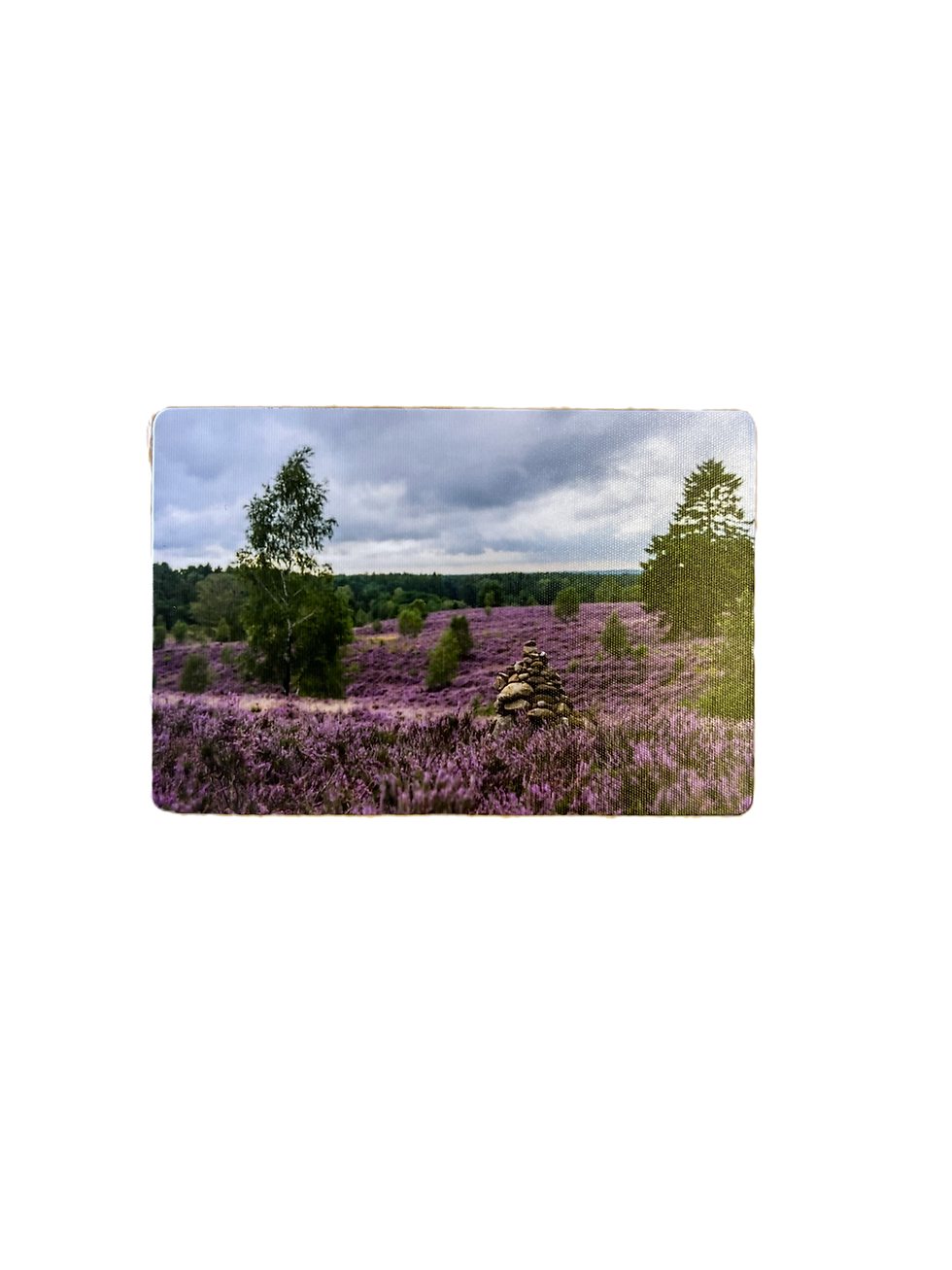 Miniaturbild: Magnet