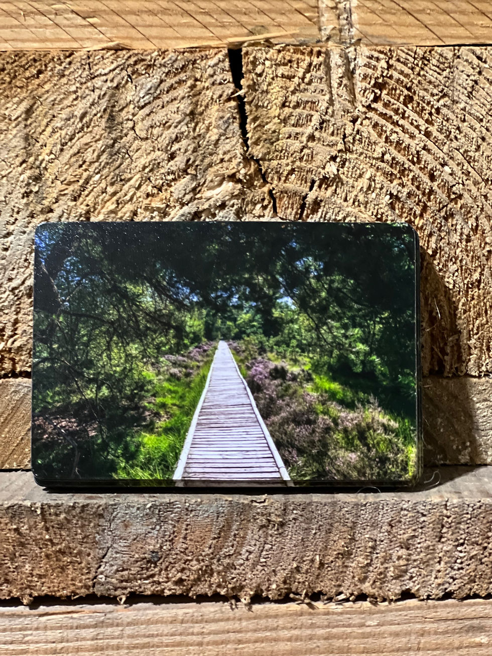 Miniaturbild: Magnet