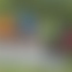 Une belle participation au cross de Ville-en-Selve