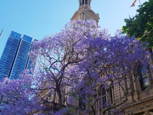 Initiatives and Products: Bringing Recycling to Strata