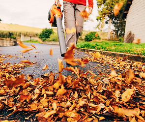 snowblower (1)_edited.jpg