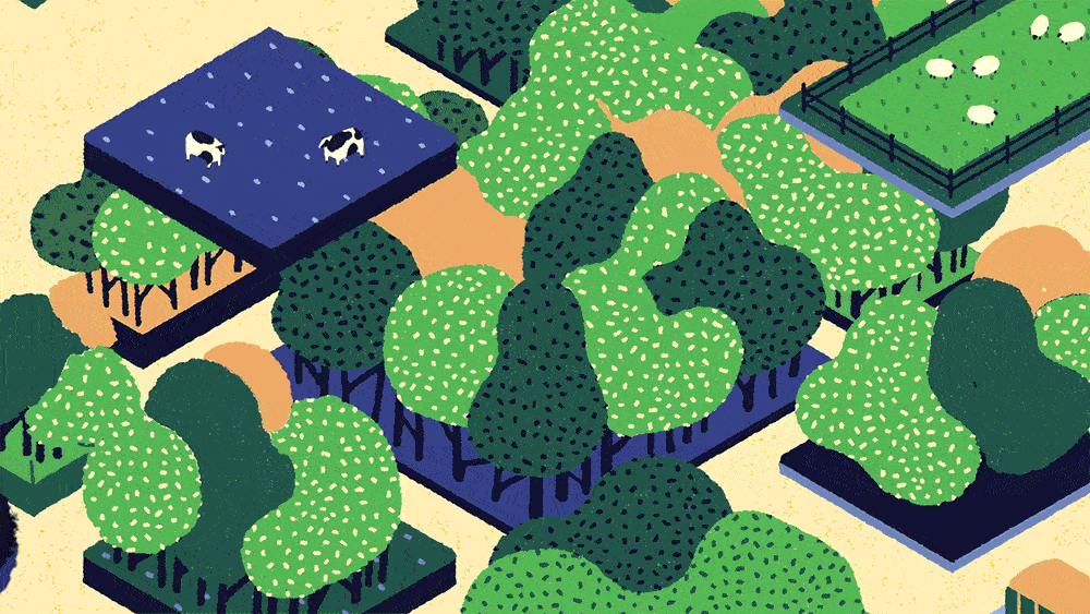 yora_08_1000.gif