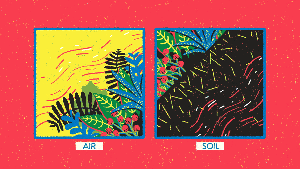 Plant-reedit3_1000px.gif