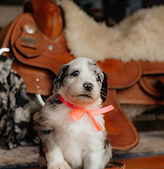 Ms. Hot Pink, Glitter Reserved .jpeg