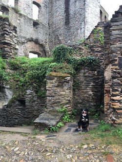 Ayra Burght Rheinfels