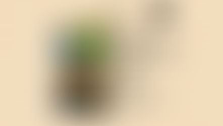 Päivän suosittelija: Eeva Kalli