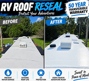 Crazy Seal Roof before & After