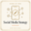 Social Media Strategy small business marketing resources