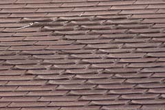 Curled shingles