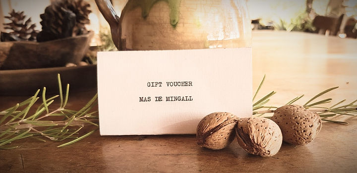 Gift Voucher Banner.jpg