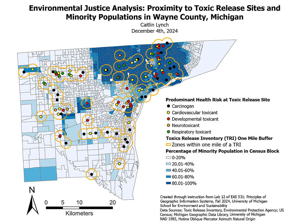 Figure 1: Environmental Justice Analysis: Proximity to Toxic Release Sites and Minority Populations in Wayne County