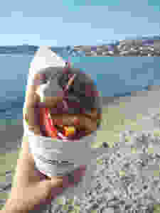 Gyros