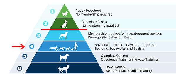 Program Structure (boarding_adventures).