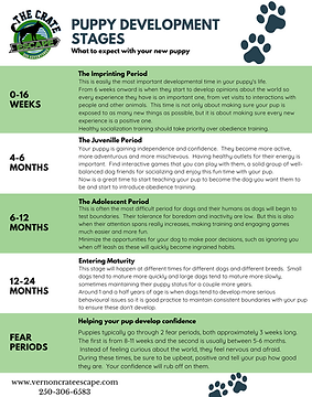 Puppy Development Stages.png