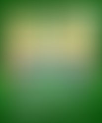 Padre Rogelio Cruz invita a caminar junto a La Altagracia por Miranda