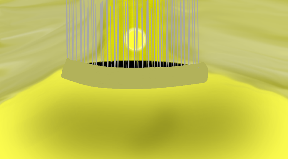 cap print 7