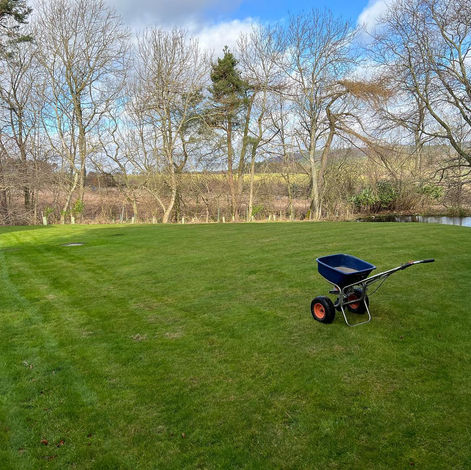 Spring fertiliser.jpeg