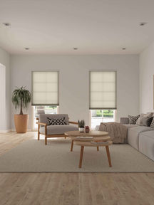 hemp-asc-eco-biscotti-living-room-pleated_orig.jpeg