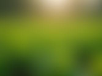 Sustainable Sourcing: Supporting Ethical Organic Farming