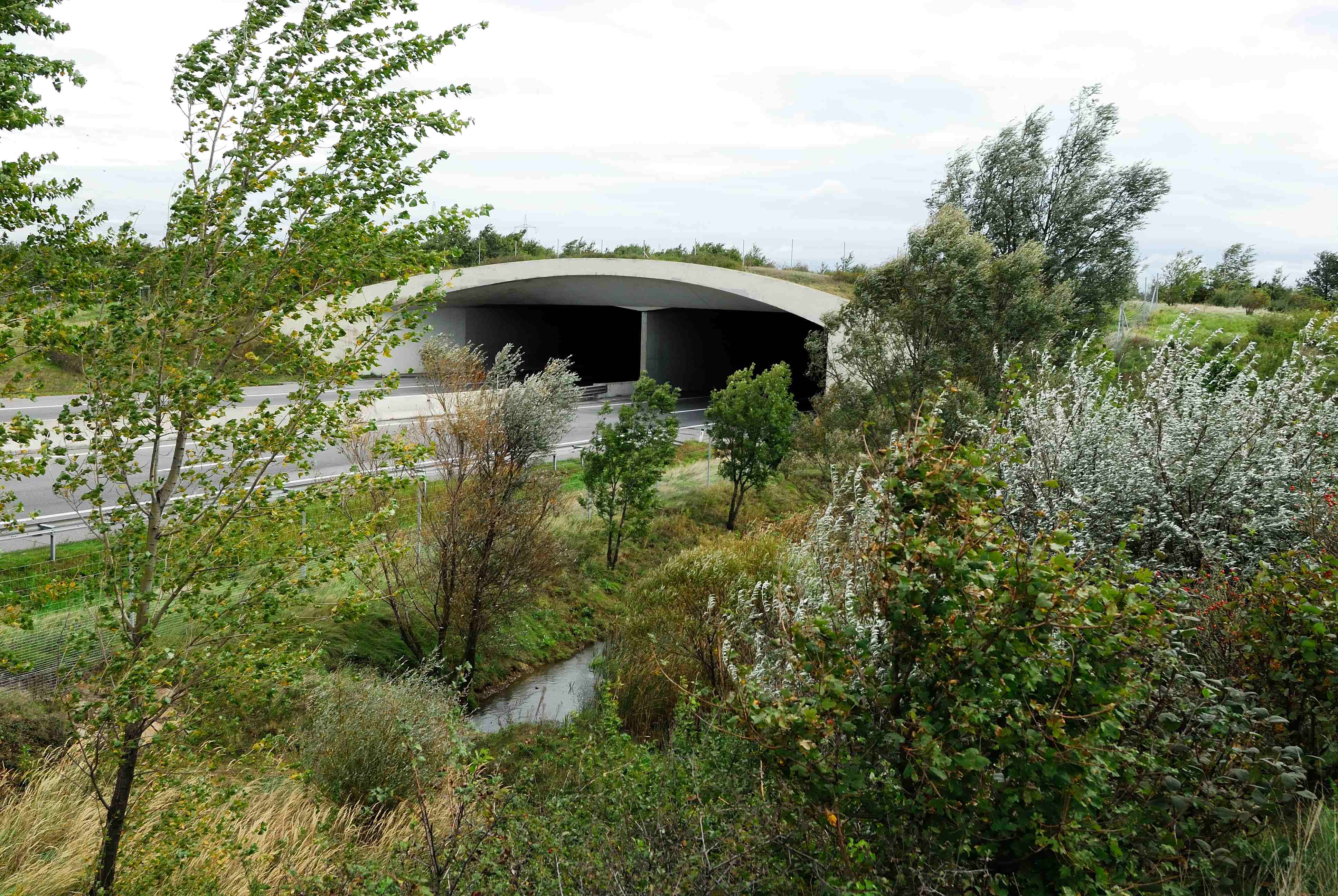Crossing structures
