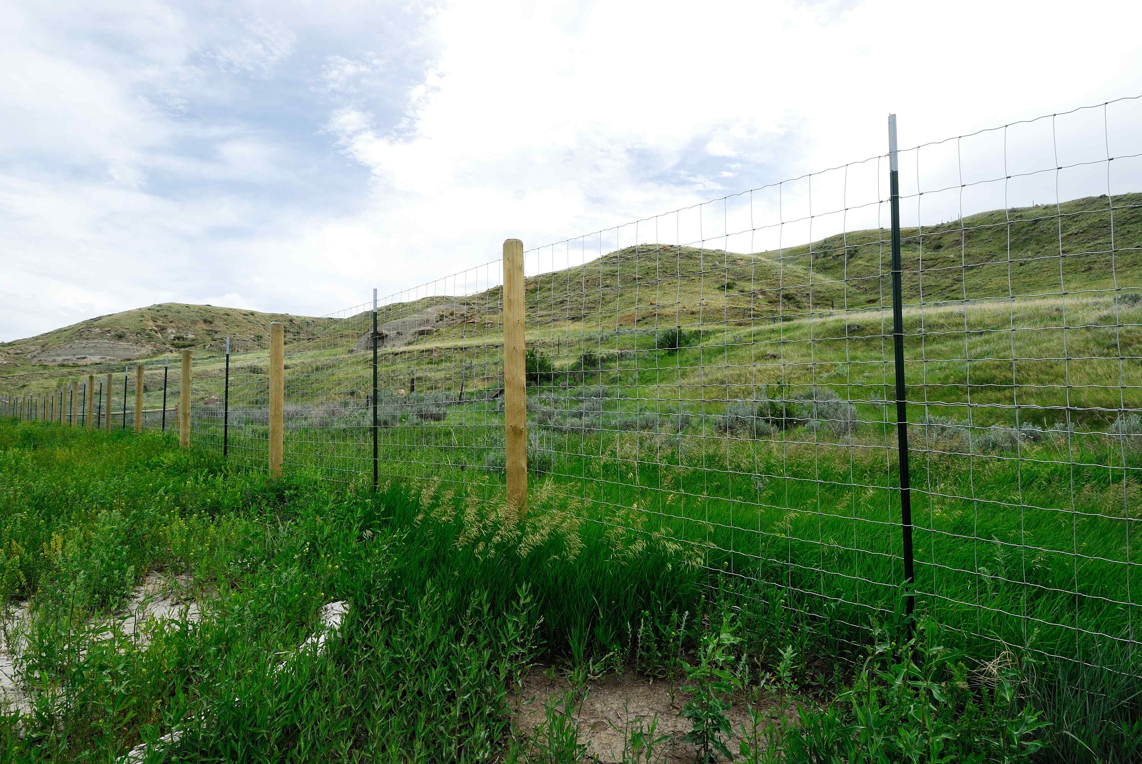 Wildlife fences