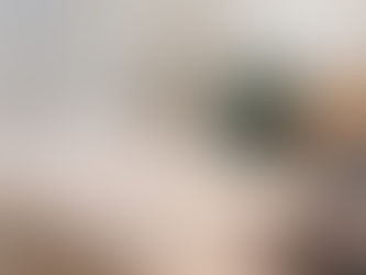 最新のご予約状況