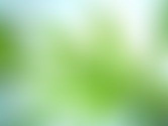 Understanding the Endocannabinoid System