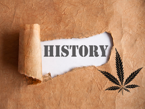 The History of Cannabis Use