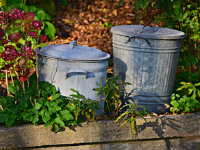 Hive Mendocino Moves Toward a Wasteless Future