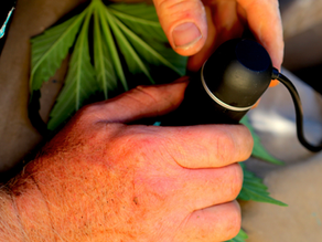 Identifying and Controlling Pest “Hot Spots”