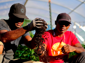 Smart Farming - Soil Sampling for a Better Crop
