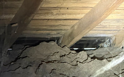 attic ventilation contractor cambridge