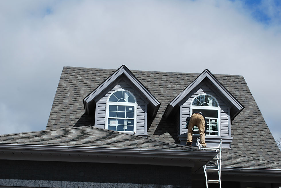 Window Installation Guelph