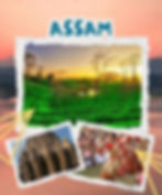 Assam _edited.jpg