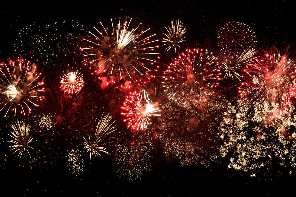 Katten en vuurwerk: hoe ga je daarmee om? 