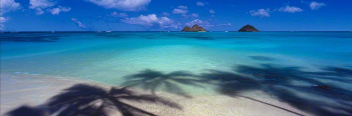 Island Hideaway