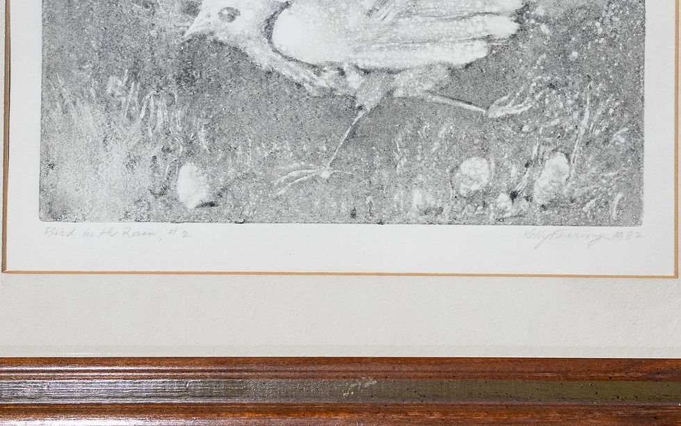 Thumbnail: "Bird in the Rain 1, 2" - Kelly Fearing