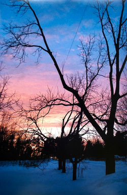 Calm Winter Sunset