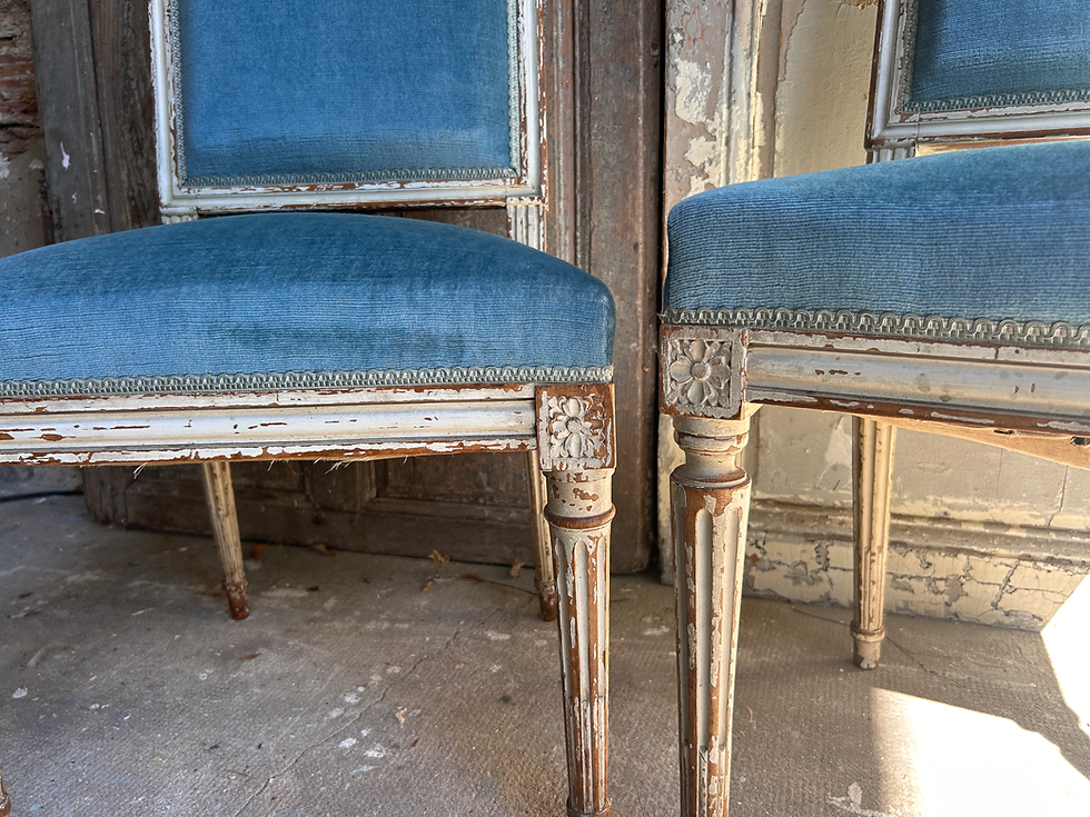 Miniature : Chaise de style Louis XVI patinée – velours bleu