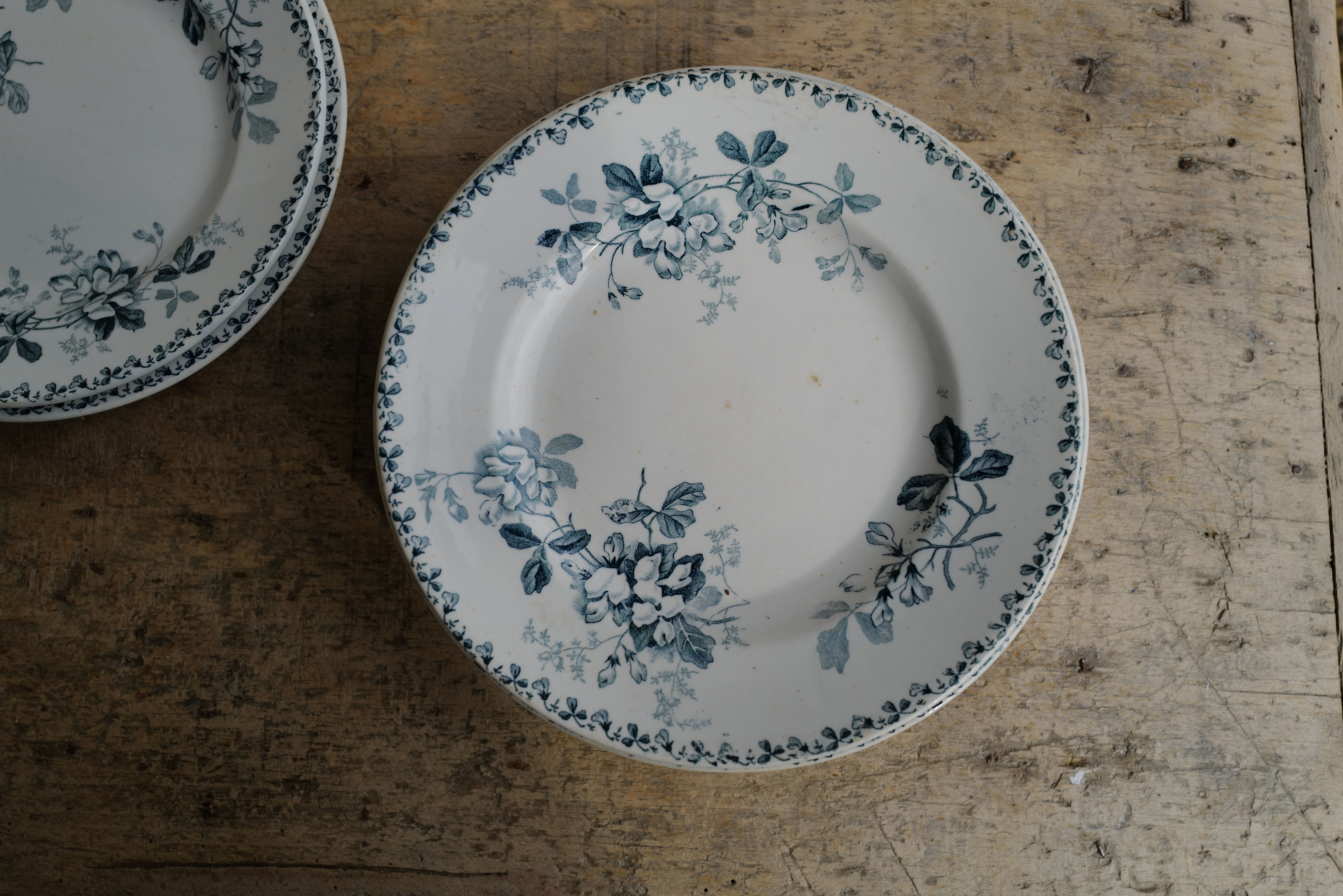 Assiettes plates Terre de Fer