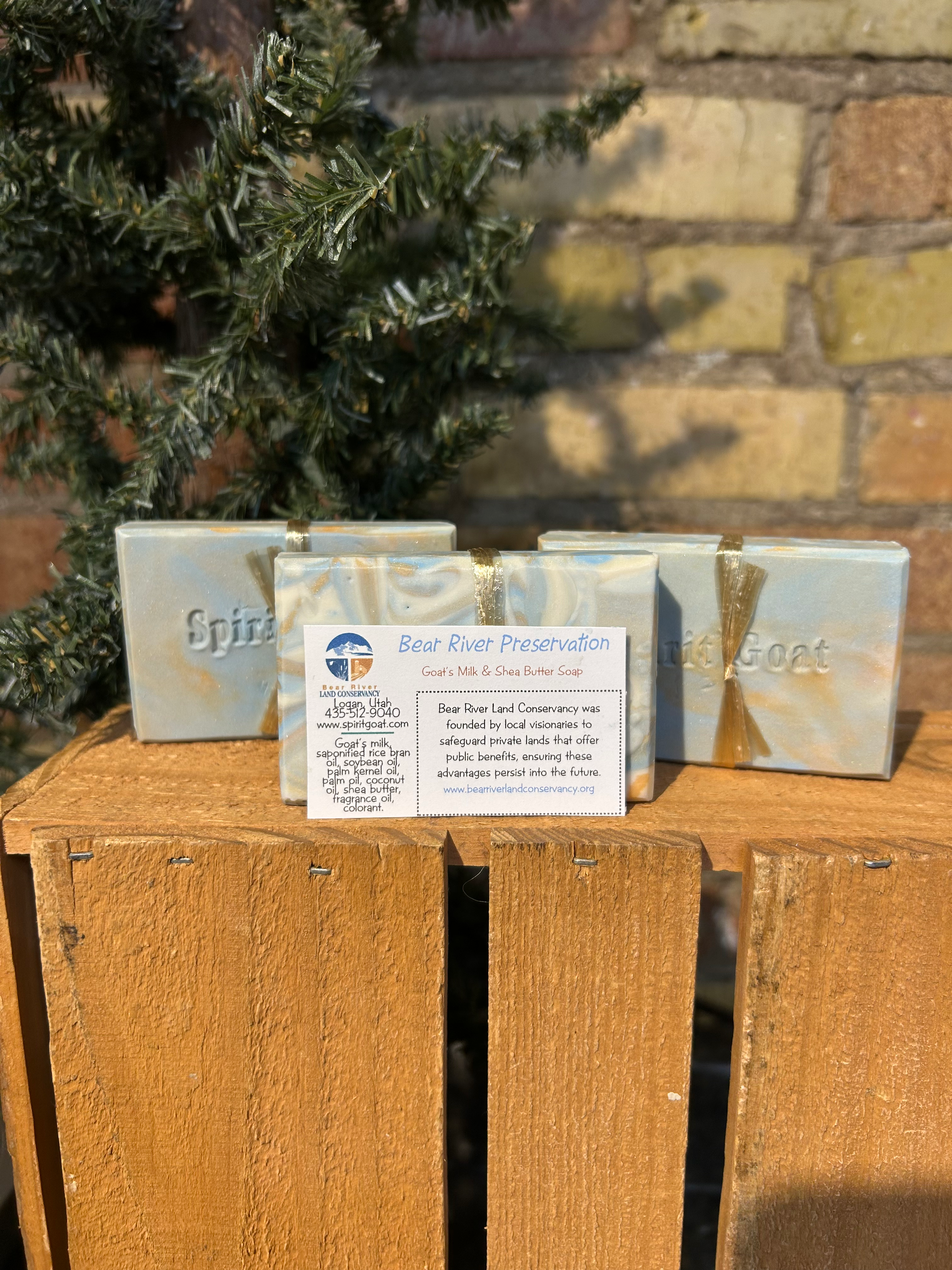 Bear River Preservation