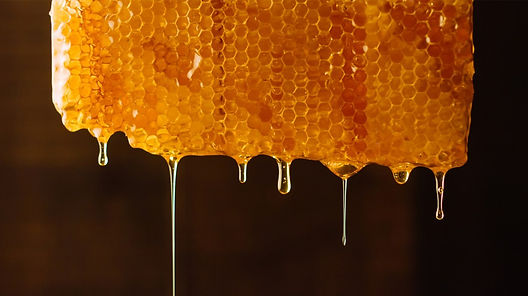 honey-honeycomb-1296x728-header.jpeg