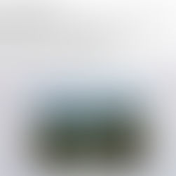 Mary Doyle Burke’s “Mo Anam Cara” Reviewed in Kilkenny People – Solo Exhibition at Source Arts Centre