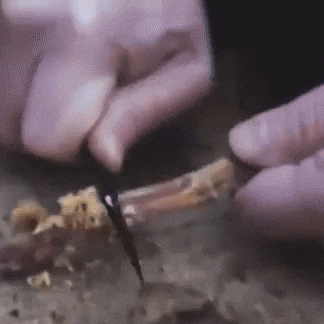 giphy (12).gif