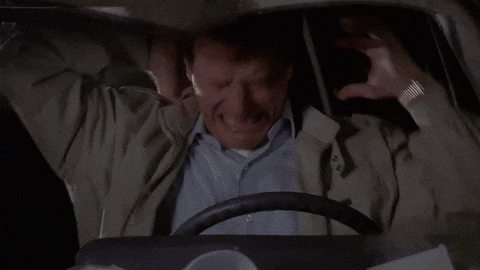 giphy (19).gif