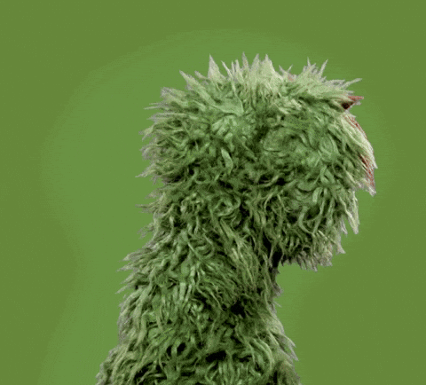 giphy - 2025-03-24T212957.286.gif
