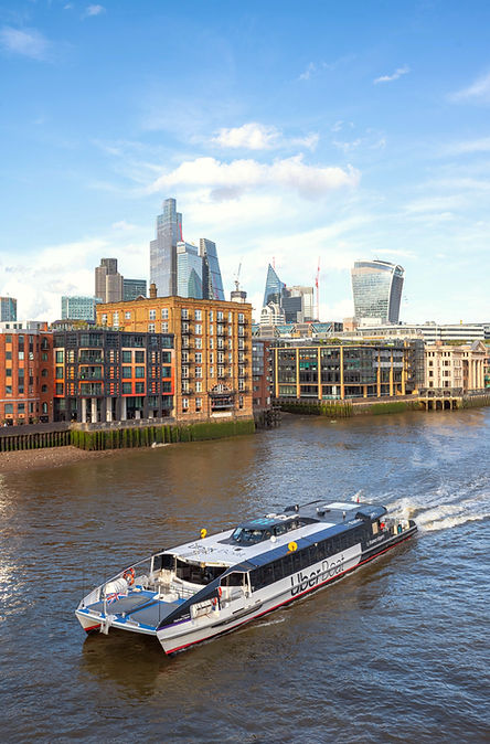 untitled (551 of 1471)-HDR_edited_edited